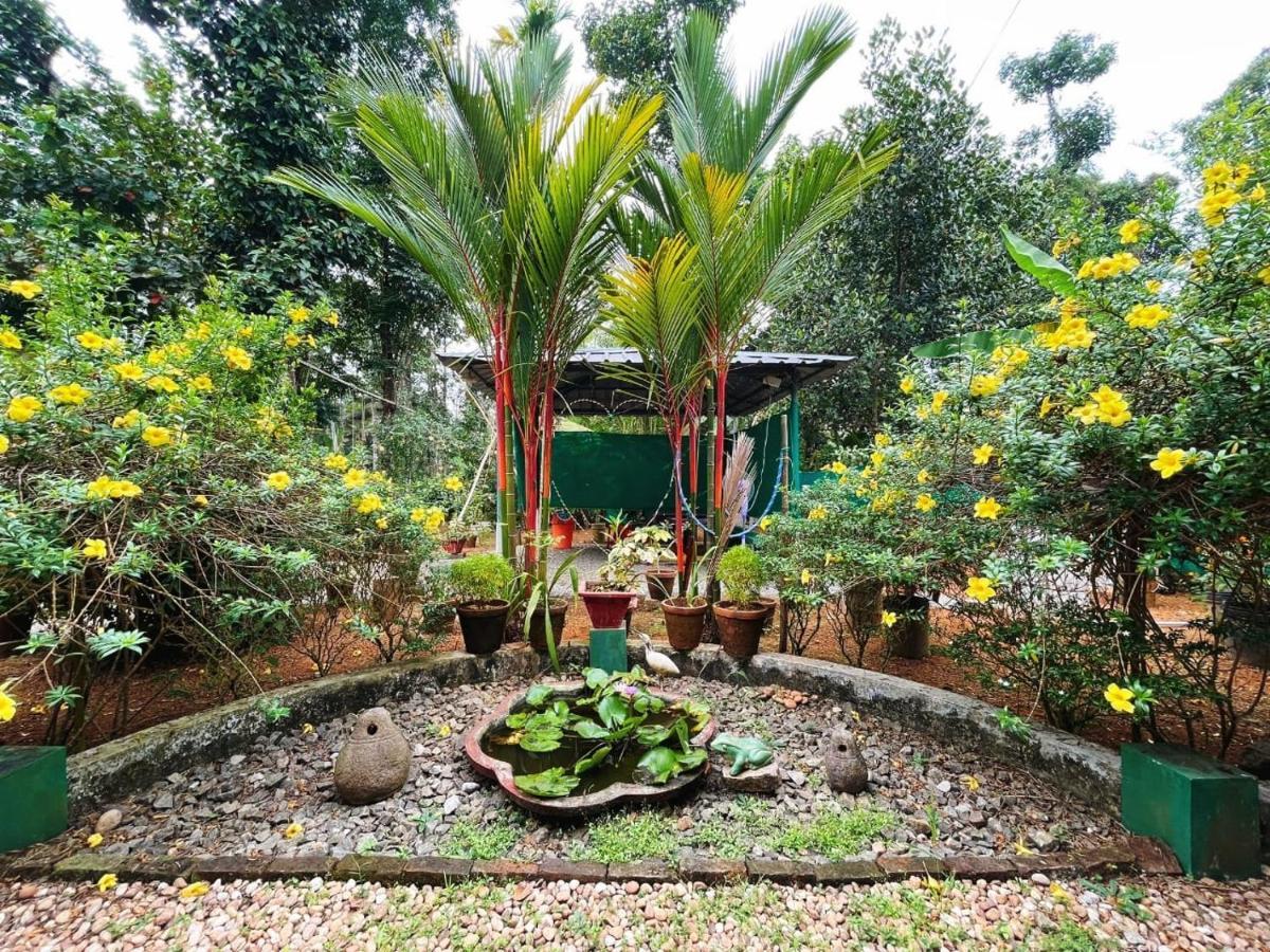 Kuttickattil Gardens Homestay Котаям Екстериор снимка
