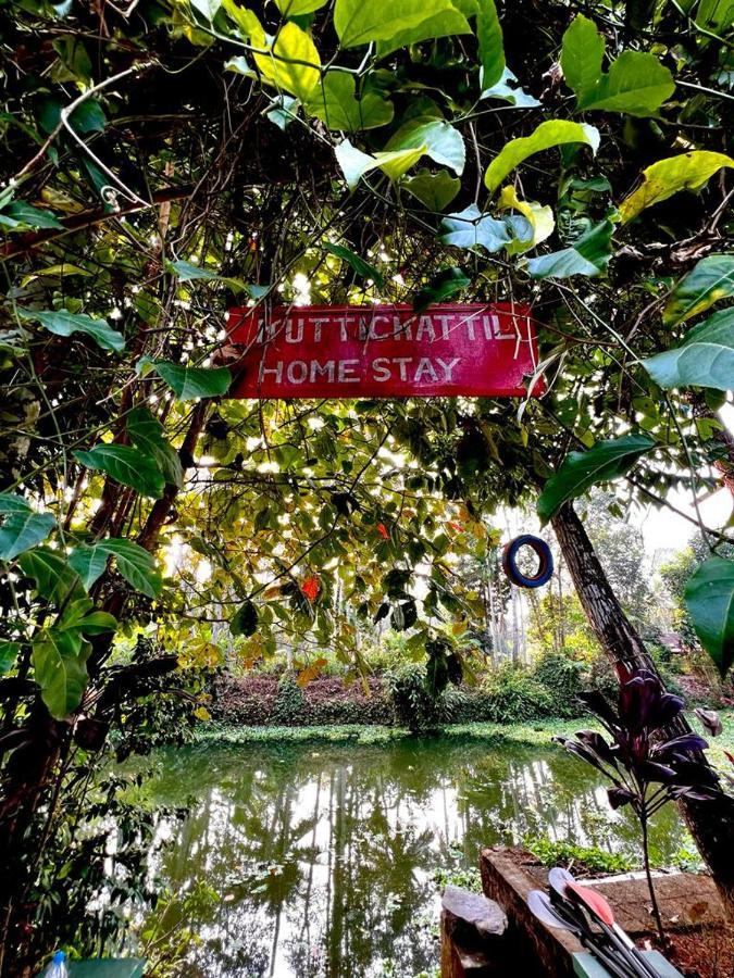 Kuttickattil Gardens Homestay Котаям Екстериор снимка